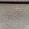 Tissu Luna choco – Image 6